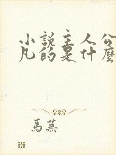 小说主人公叫陈凡的是什么小说封面