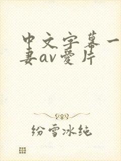 中文字幕一级人妻av爱片