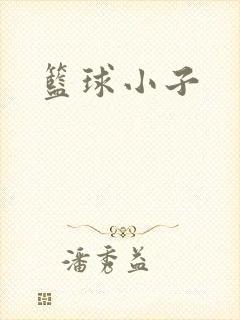 篮球小子