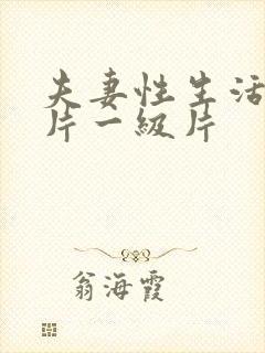 夫妻性生活黄色片一级片封面