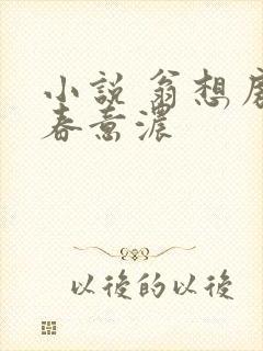 小说 翁想房中春意浓封面