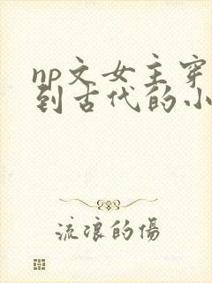 np文女主穿越到古代的小说一开始是屠