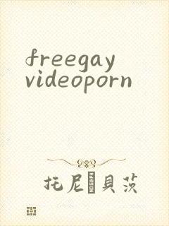 freegayvideoporn