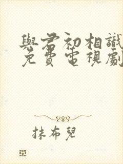 与君初相识在线免费电视剧