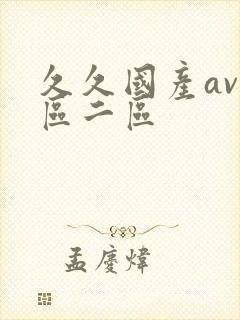 久久国产av一区二区