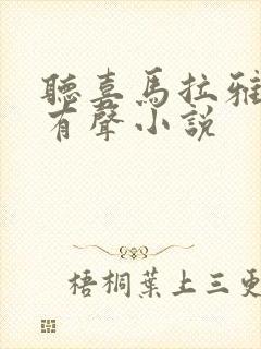 听喜马拉雅免费有声小说