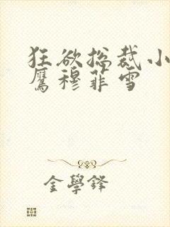 狂欲总裁小说雷鹰穆菲雪