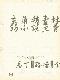 主角赵青林安澜的小说免费阅读