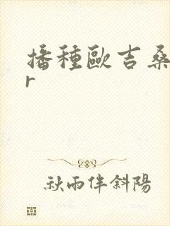 播种欧吉桑ntr