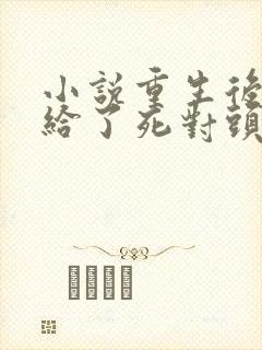 小说重生后我嫁给了死对头下载