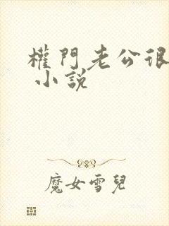 权门老公很霸道 小说封面