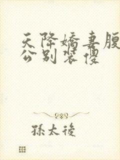 天降娇妻腹黑老公别装傻