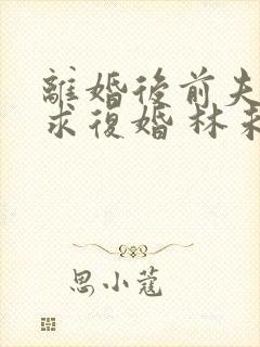 离婚后前夫哭着求复婚 林未央