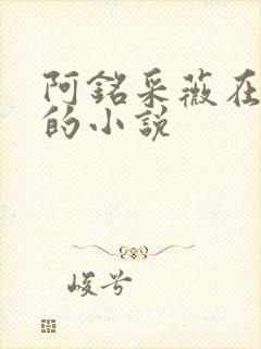 阿铭采薇在人间的小说