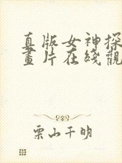 真版女神探侦动画片在线观看