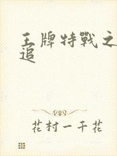 王牌特战之军少追