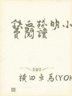 铁血残明小说免费阅读