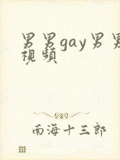 男男gay男男视频