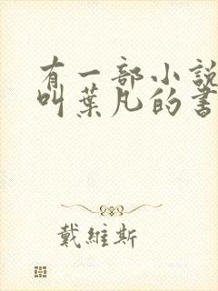 有一部小说主角叫叶凡的书名