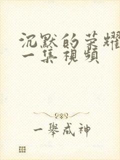 沉默的荣耀最后一集视频