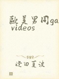 欧美男同gay videos