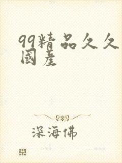 99精品久久久国产