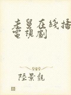 老舅在线播放电电视剧