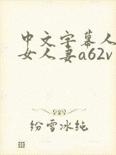 中文字幕人妻熟女人妻a62v网站