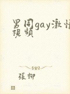 男同gay激情视频
