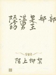 陆湛是哪部小说的男主封面