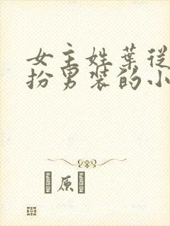 女主姓叶从小女扮男装的小说封面