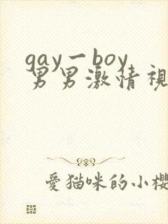 gay一boy男男激情视频