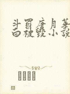 斗罗唐月华的清白被毁小说