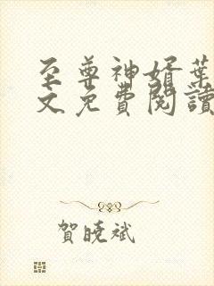 至尊神婿叶昊全文免费阅读最新章节