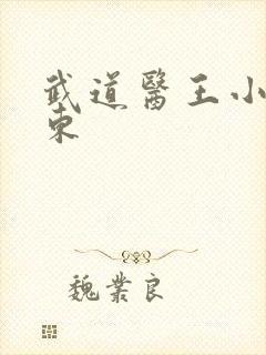 武道医王小说吴东