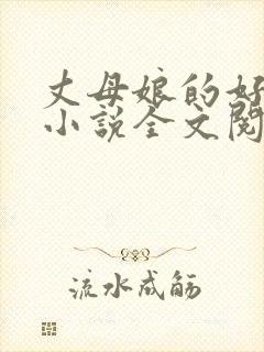 丈母娘的好女婿小说全文阅读