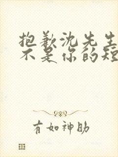 抱歉沈先生孩子不是你的短剧免费版