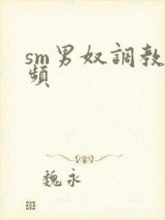 sm男奴调教视频