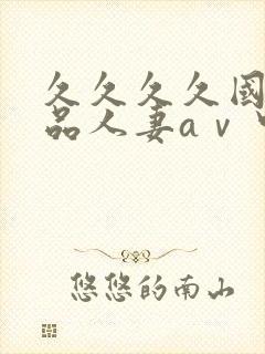 久久久久国产精品人妻aⅴ中出