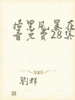 扫黑风暴在线观看免费28集