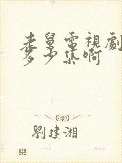 老舅电视剧一共多少集啊