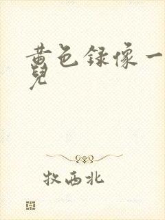 黄色录像一级片儿封面