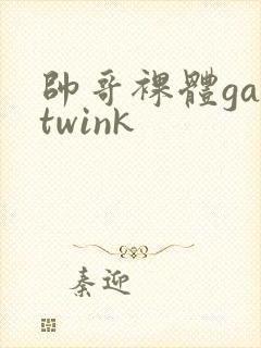 帅哥裸体gaytwink