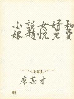 小说女婿和丈母娘赵悦免费阅读