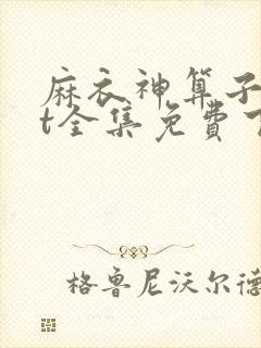 麻衣神算子txt全集免费下载