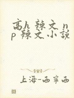 高h 辣文 np 辣文小说