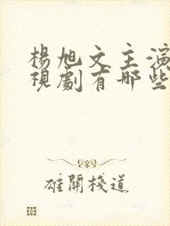 杨旭文主演的电视剧有哪些