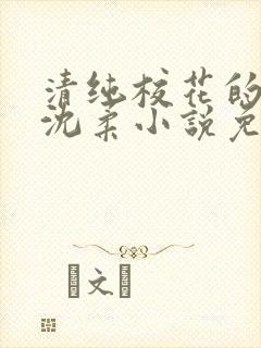 清纯校花的日常沈柔小说免费阅读封面