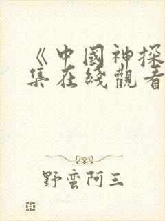 《中国神探》全集在线观看高清