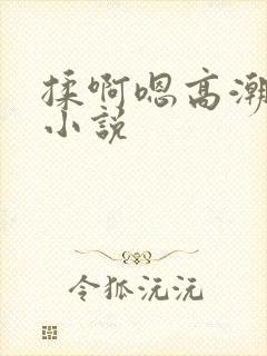 揉啊嗯高潮白洁小说封面